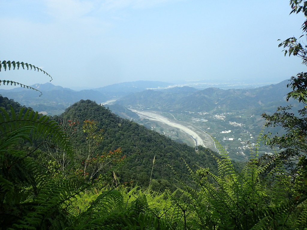 P3217687.JPG - 谷關七雄  白毛山  03