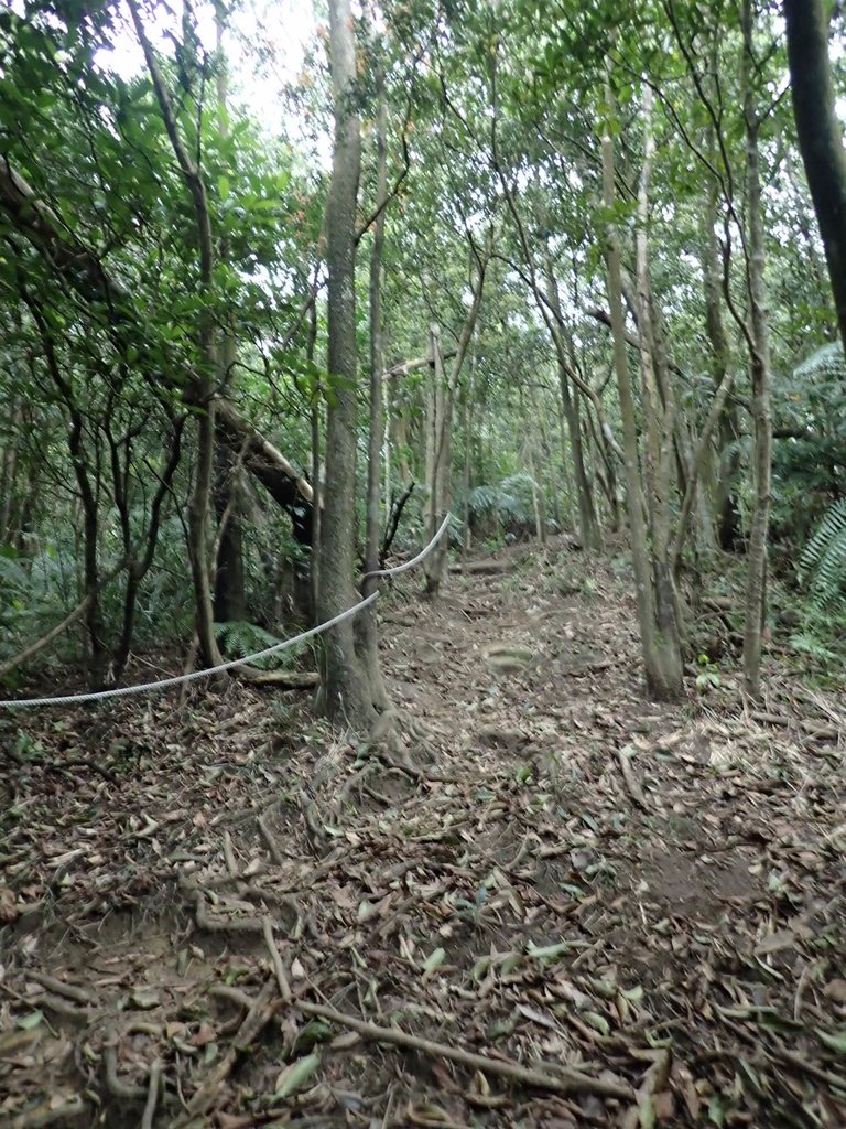 P3160094.JPG - 汐止  柯子林山  如意湖