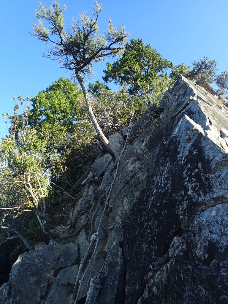 PA185506.JPG - 再訪---  台中  和平  鳶嘴山