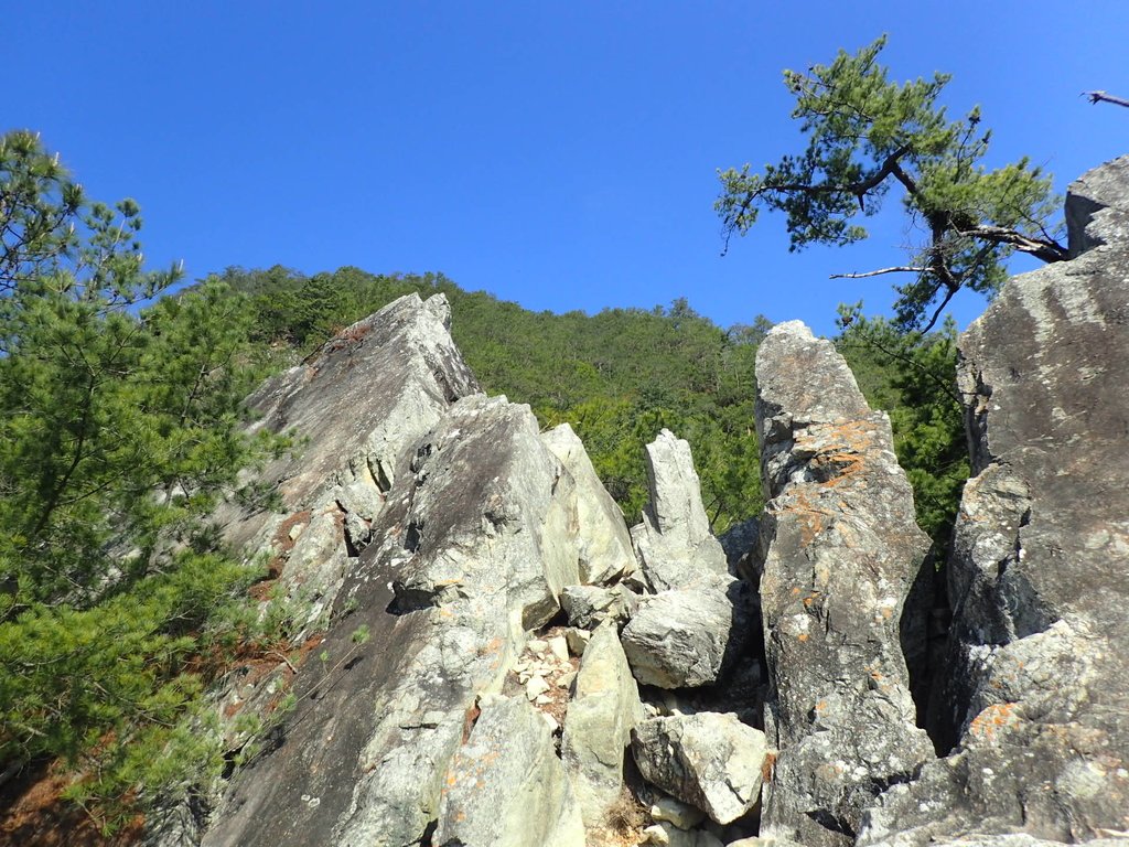 P3167213.JPG - 谷關  東卯山東南稜