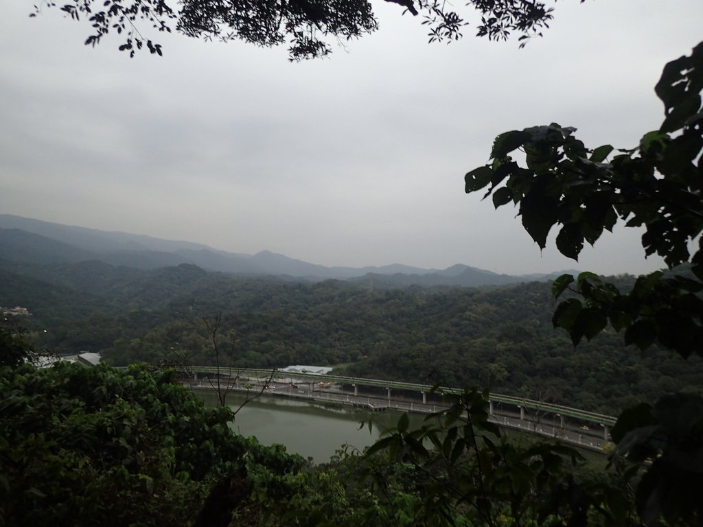 P3116933.JPG - 內湖  白鷺鷥山親山步道