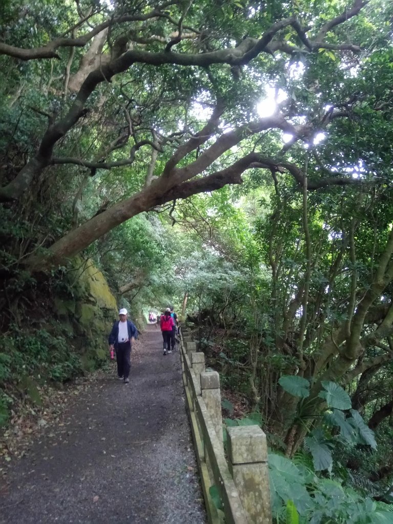 DSC_5786.JPG - 陽明山  水管路古道行