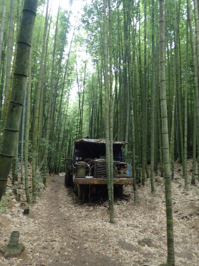 P7235896.JPG - 台中和平  長壽山登山步道  (中)