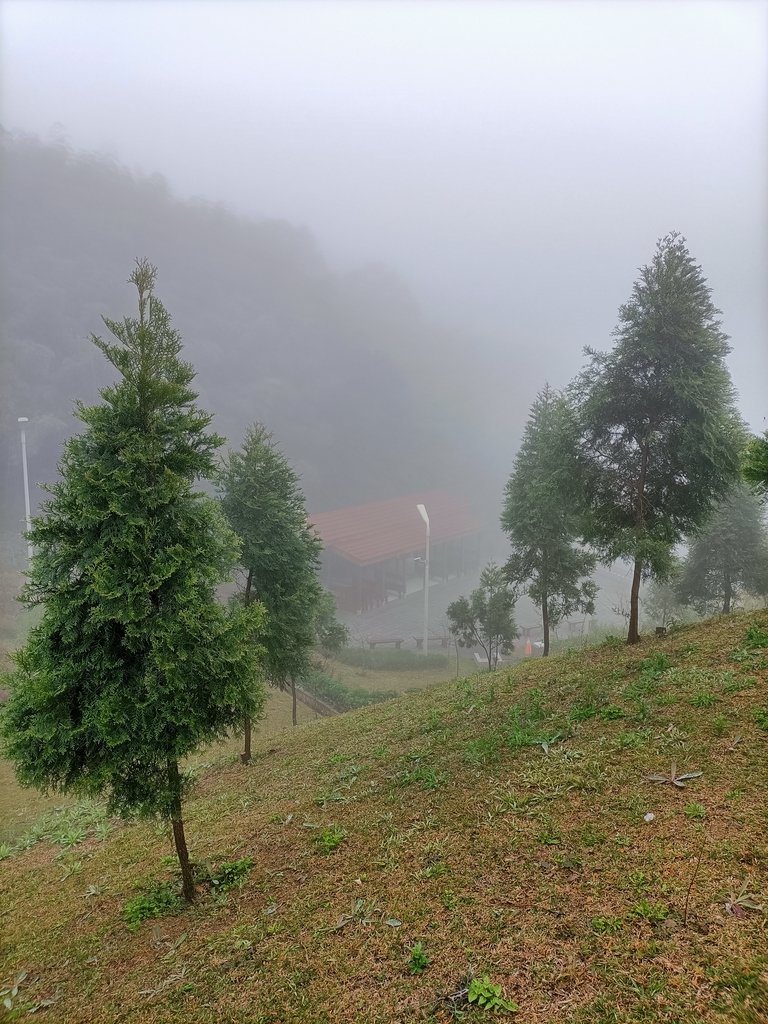 IMG20210108101332.jpg - 雲霧中的  梅山  太平雲梯