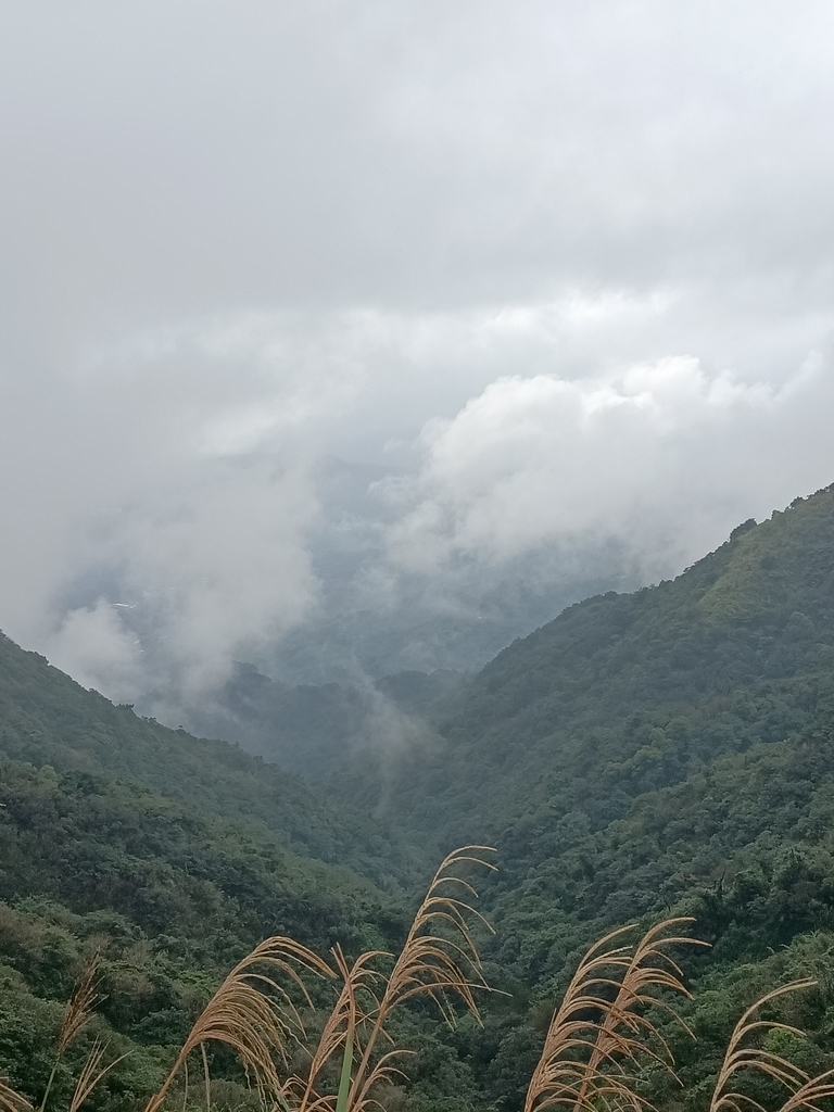 IMG20201226102016.jpg - 瑞芳  不厭亭之  煙雨山水