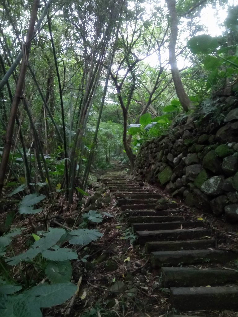 DSC_3335.JPG - 金山  大路崁古道