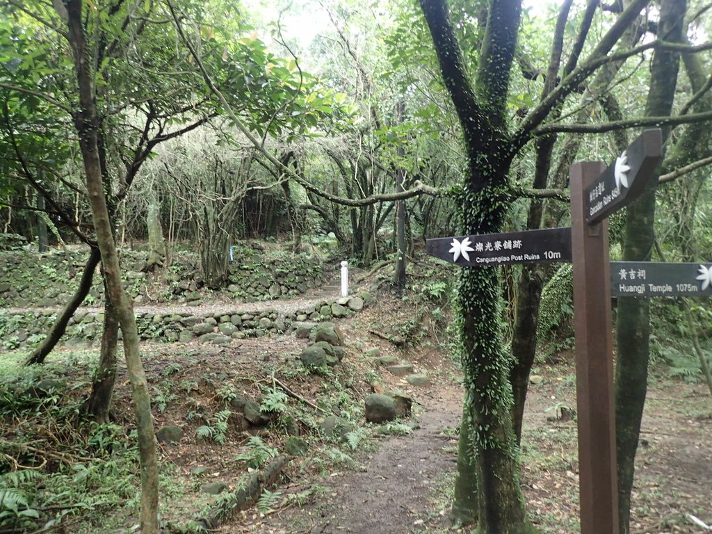 P1274419.JPG - 瑞芳  燦光寮古道初探