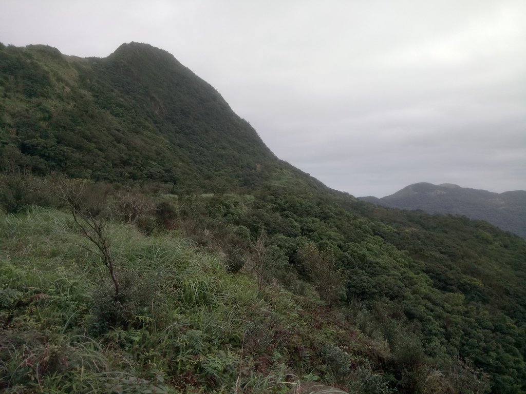 DSC_3541.JPG - 瑞芳  燦光寮古道初探