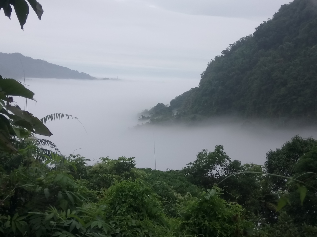 DSC_1133.JPG - 古坑  草嶺  雲山繚繞