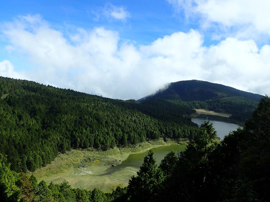 PB265471.JPG - 太平山  翠峰湖環山步道  02