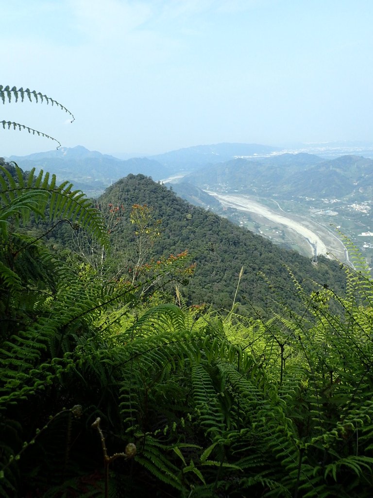 P3217691.JPG - 谷關七雄  白毛山  03