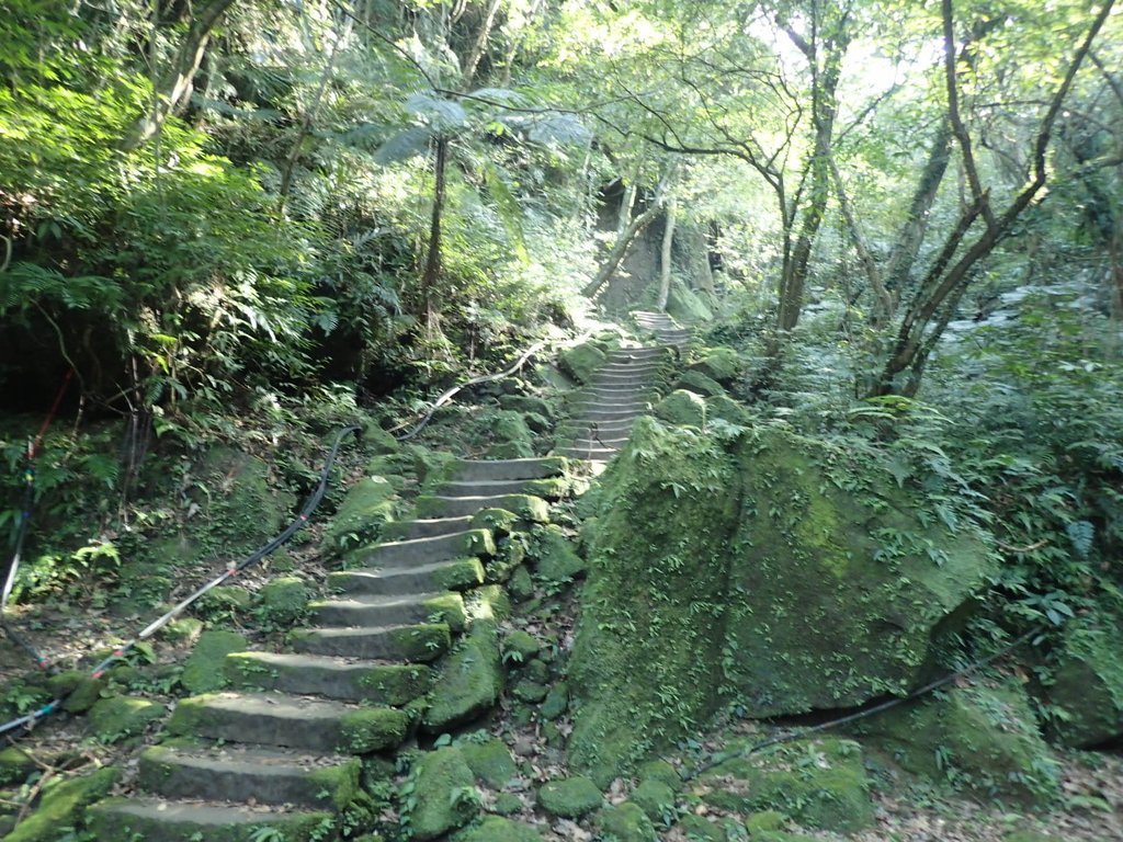 P1224267.JPG - 再訪---  平溪  孝子山登山步道