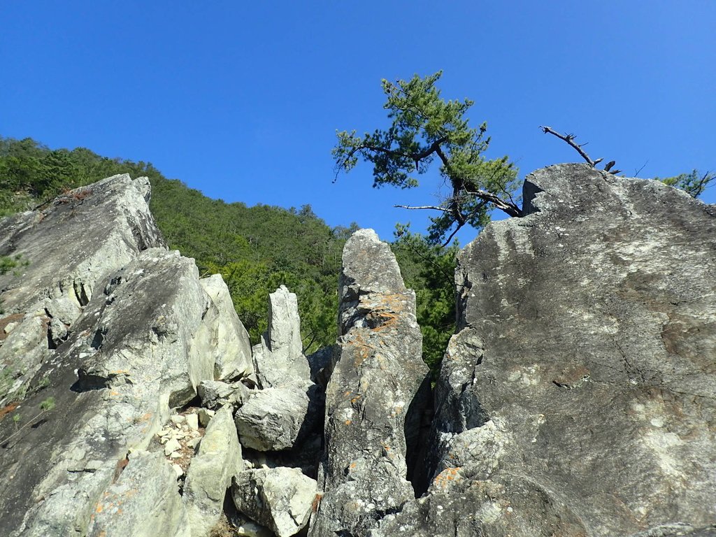 P3167214.JPG - 谷關  東卯山東南稜