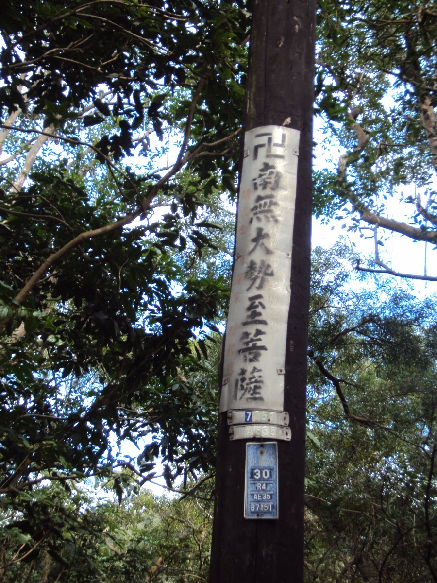 DSC06770.JPG - 內湖  金面山步道