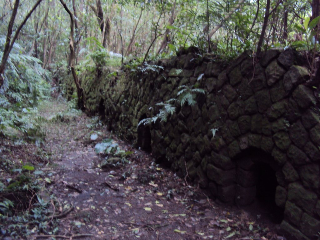 DSC03329.JPG - 瑞芳  粗坑口登山步道