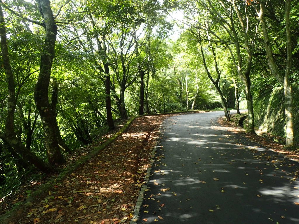 PB247209.JPG - 北投  中正山登山步道 03