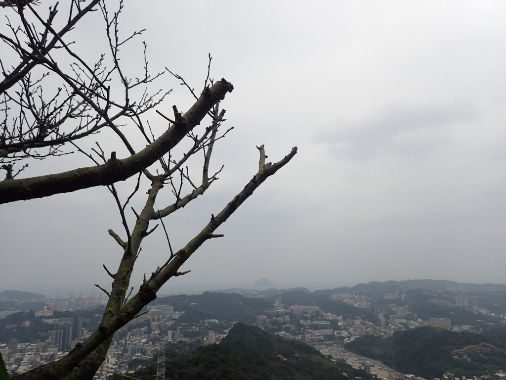 P1233818.JPG - 再訪---  基隆  紅淡山