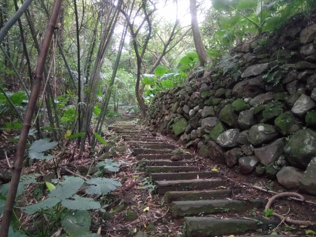 DSC_3336.JPG - 金山  大路崁古道