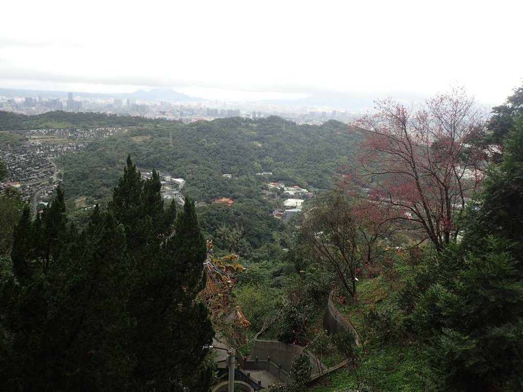 P2178180.JPG - 中和  南勢角山  (烘爐地)