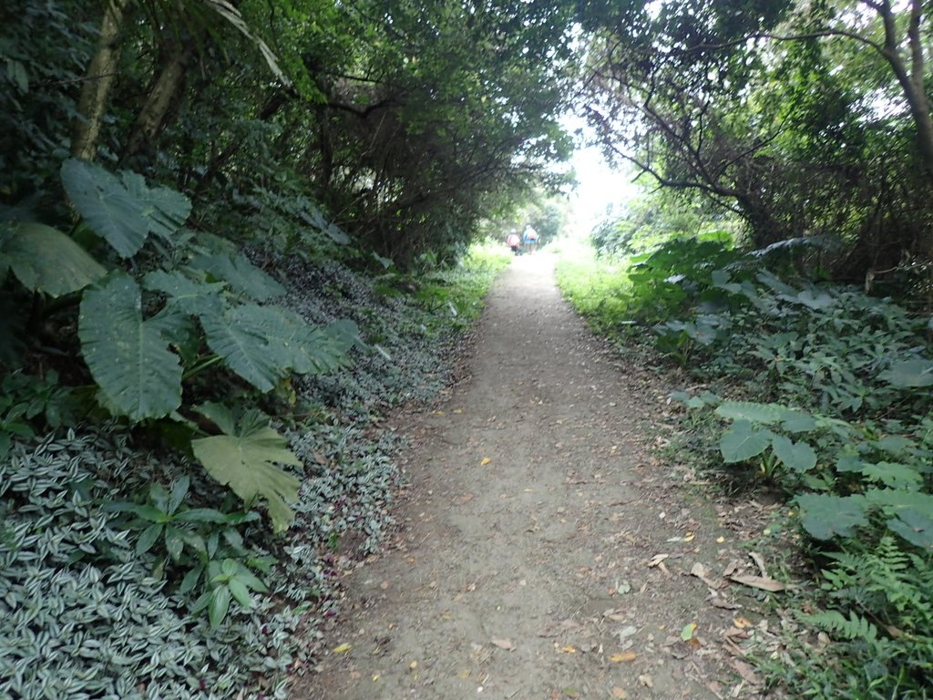 P2107471.JPG - 大溪  溪洲山登山步道