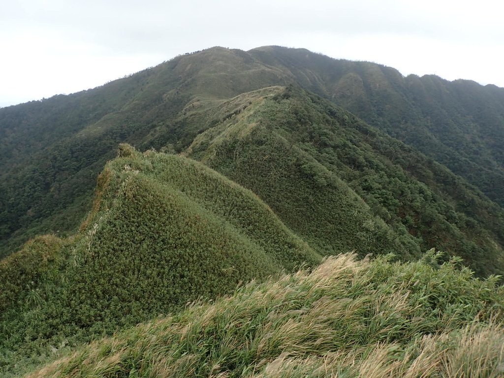 PB159032.JPG - 礁溪  聖母登山步道  (抹茶山)