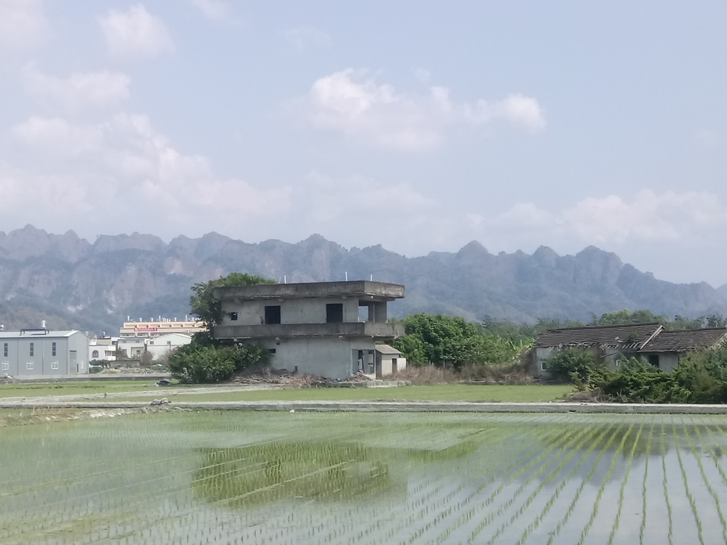 DSC_7281.JPG - 草屯平林  九九峰森林步道