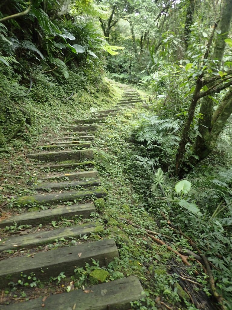 P3018856.JPG - 深坑  土庫岳登山步道  (02)