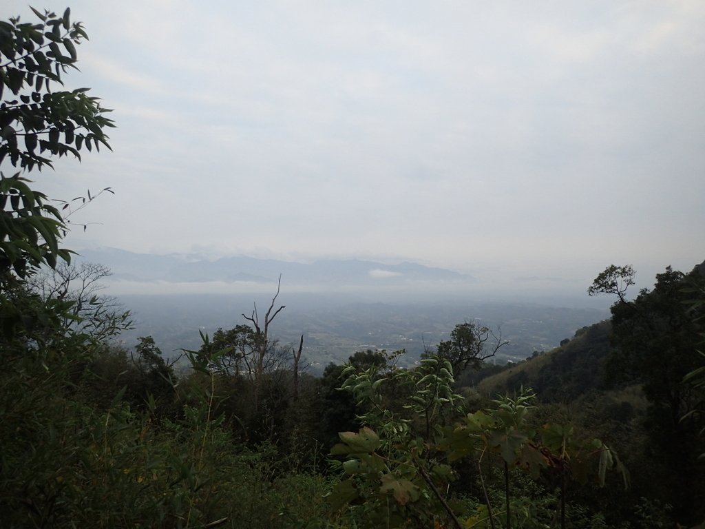 P1294574.JPG - 大湖  關刀山步道  (聖關段)