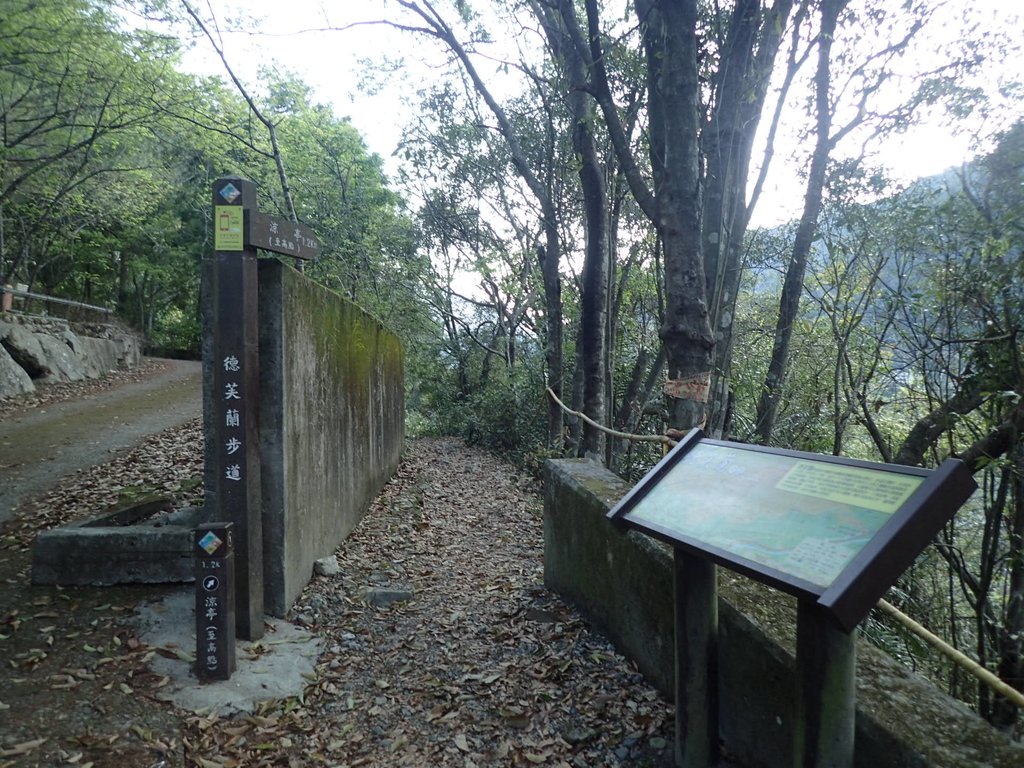 P3167105.JPG - 谷關  德芙蘭步道