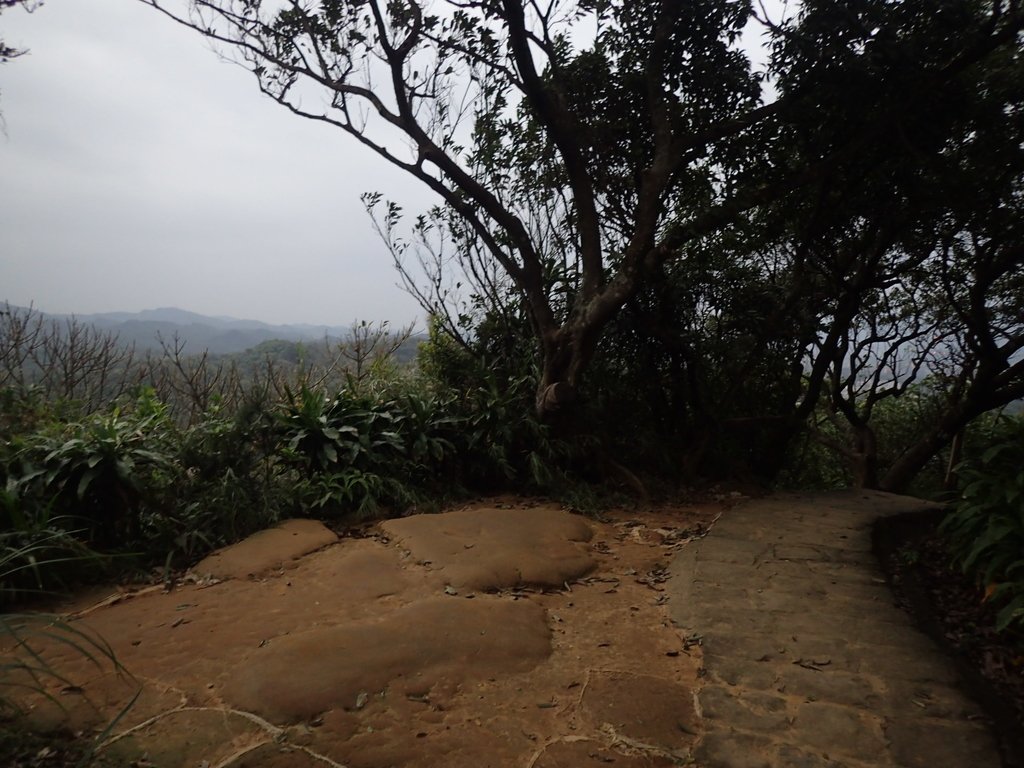 P3116938.JPG - 內湖  白鷺鷥山親山步道