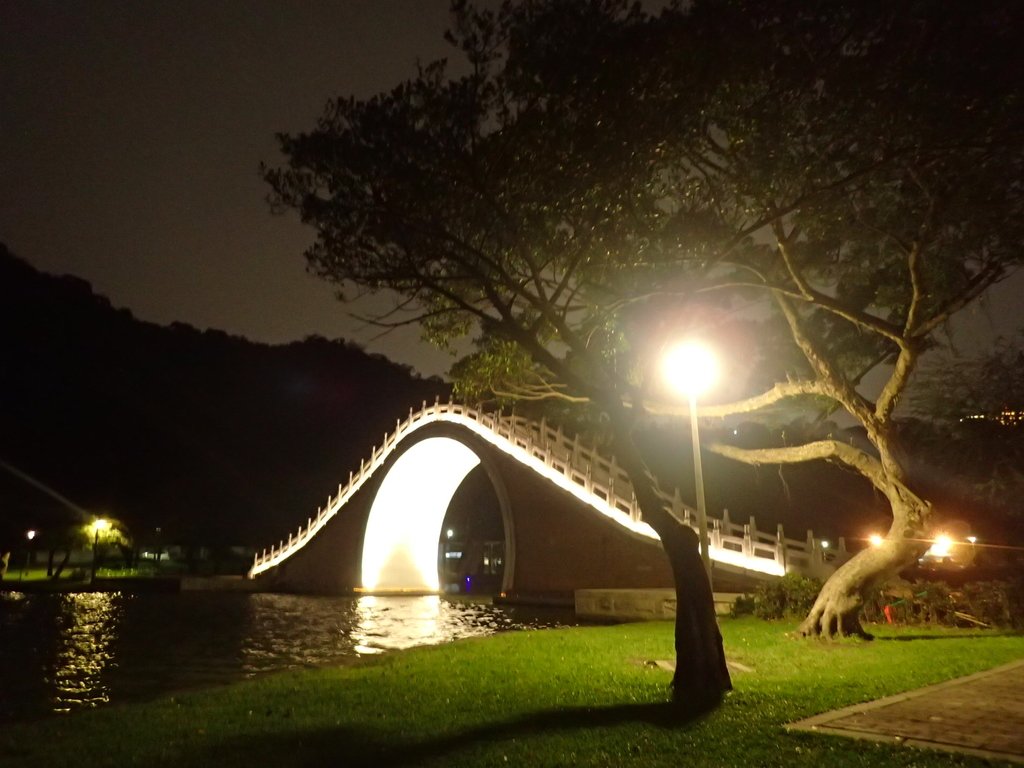 P3116987.JPG - 內湖  大湖公園之夜色