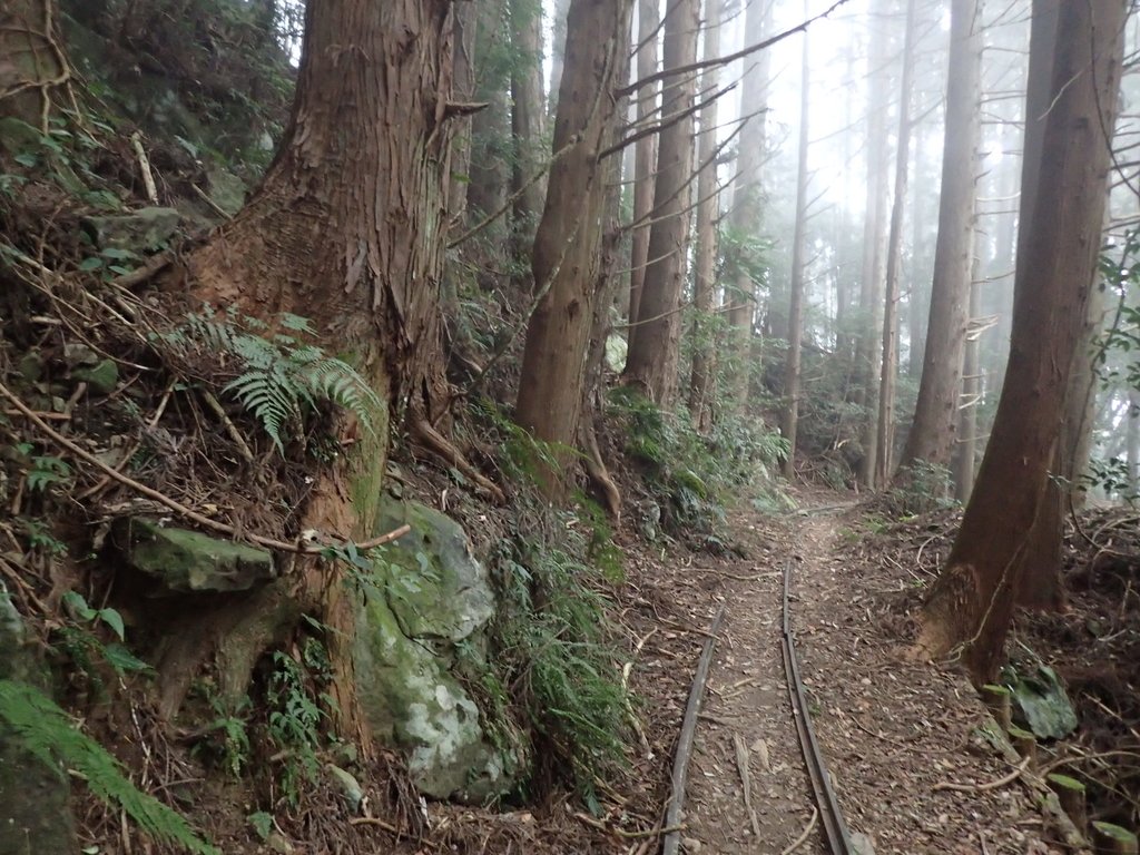 P2034983.JPG - 南庄  加里山  森林鐵道