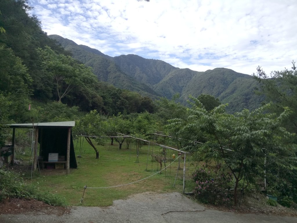 DSC_9882.JPG - 谷關  斯巴可步道