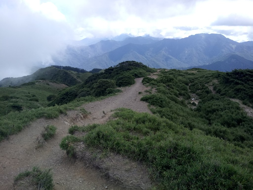 DSC_5371.JPG - 合歡山  北峰之美  (中)