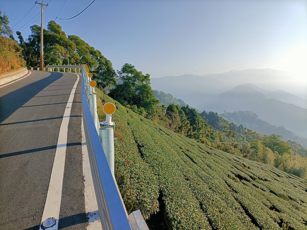 IMG20210130081018.jpg - 梅山  二尖山  龍眼茶園風光