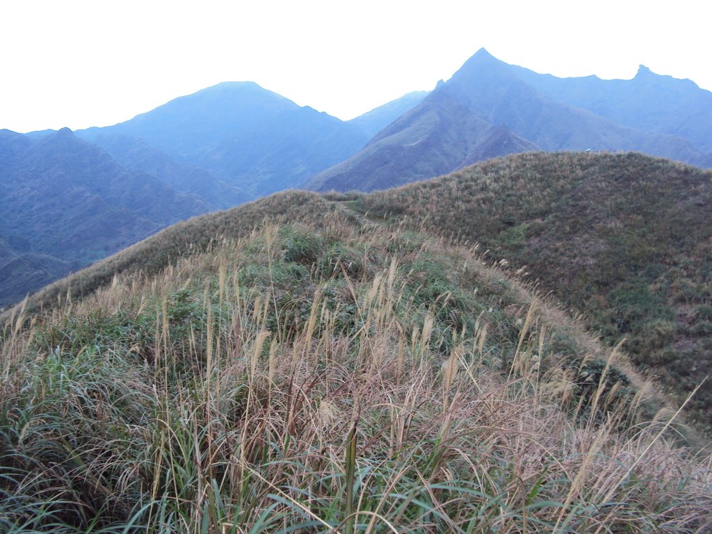 DSC06261.JPG - 瑞芳  南子吝步道