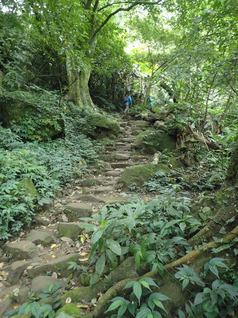 P2107474.JPG - 大溪  溪洲山登山步道