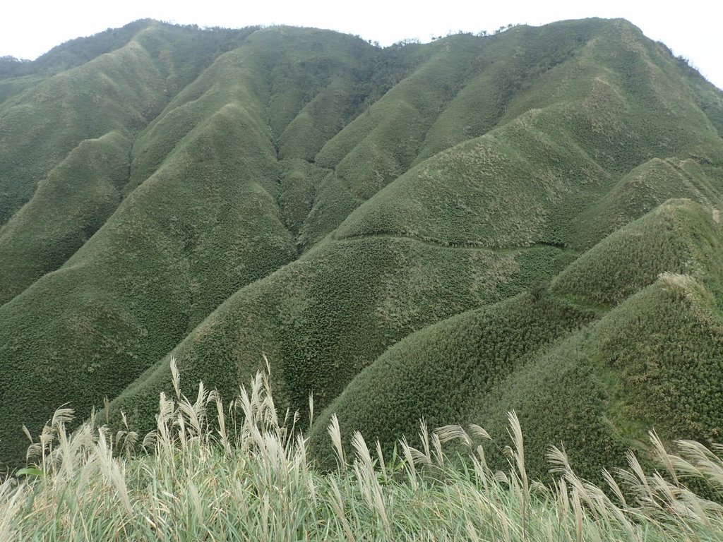 PB159035.JPG - 礁溪  聖母登山步道  (抹茶山)