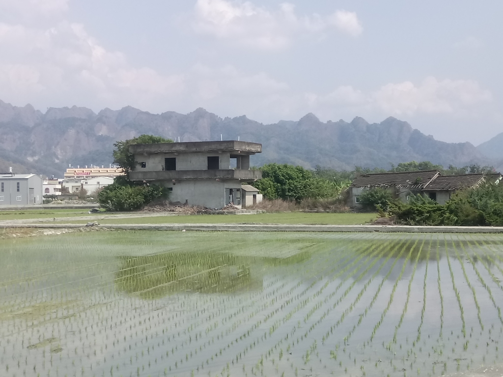 DSC_7282.JPG - 草屯平林  九九峰森林步道