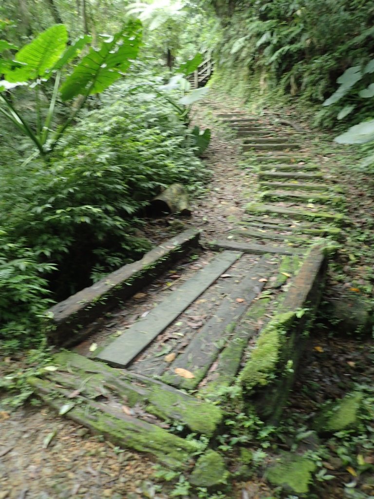 P3018861.JPG - 深坑  土庫岳登山步道  (02)