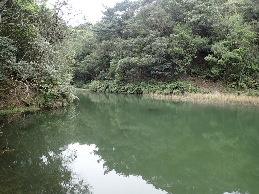 P3160111.JPG - 汐止  柯子林山  如意湖