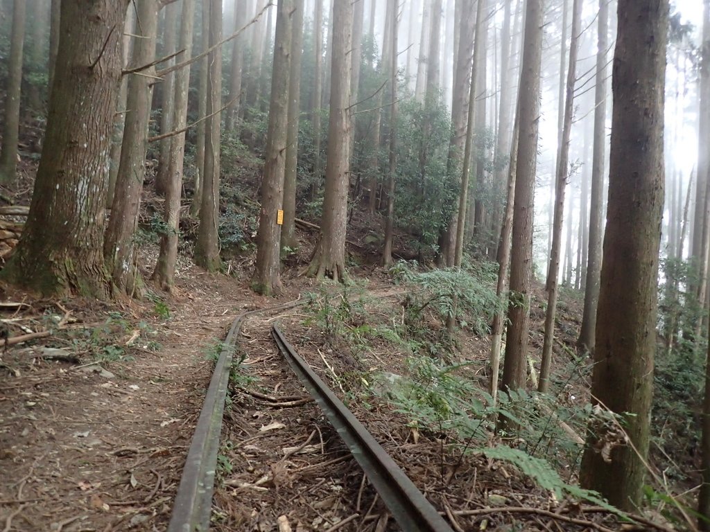 P2034988.JPG - 南庄  加里山  森林鐵道