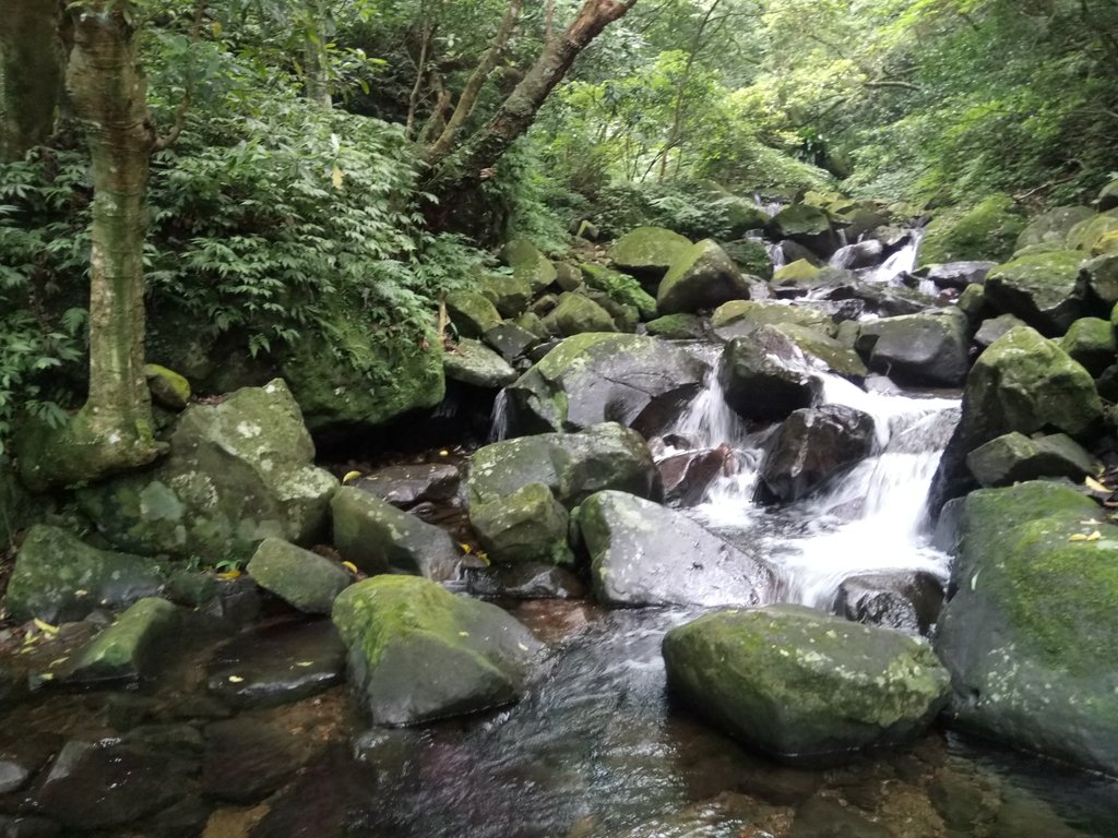 DSC_0719.JPG - 三芝  大屯溪古道