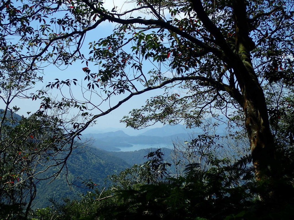 PA040404.JPG - 魚池  過坑山登山步道