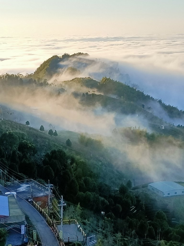 IMG20210107164500.jpg - 鹿谷  大崙山  觀霧亭之  暮光