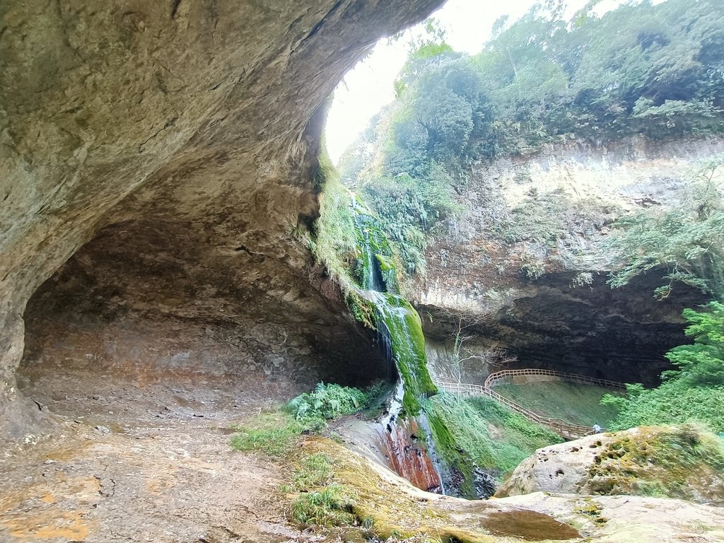 IMG20210205122236.jpg - 竹山  杉林溪森林遊樂園  路過