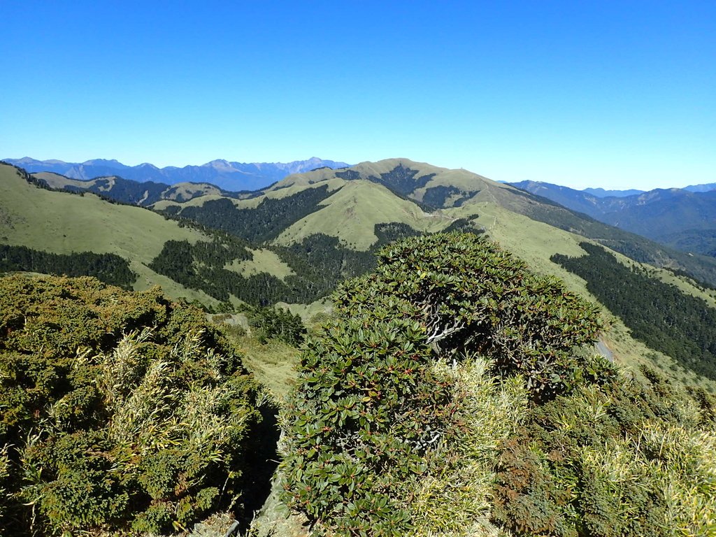 PC132182.JPG - 合歡山  東峰