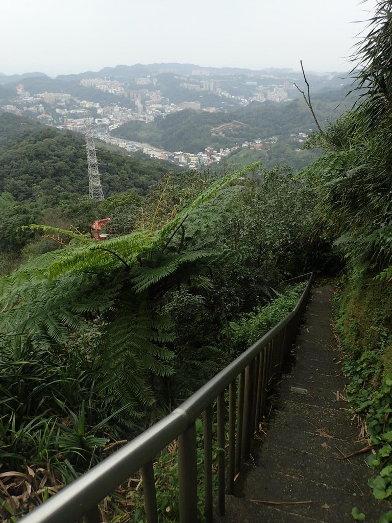 P1233852.JPG - 再訪---  基隆  紅淡山