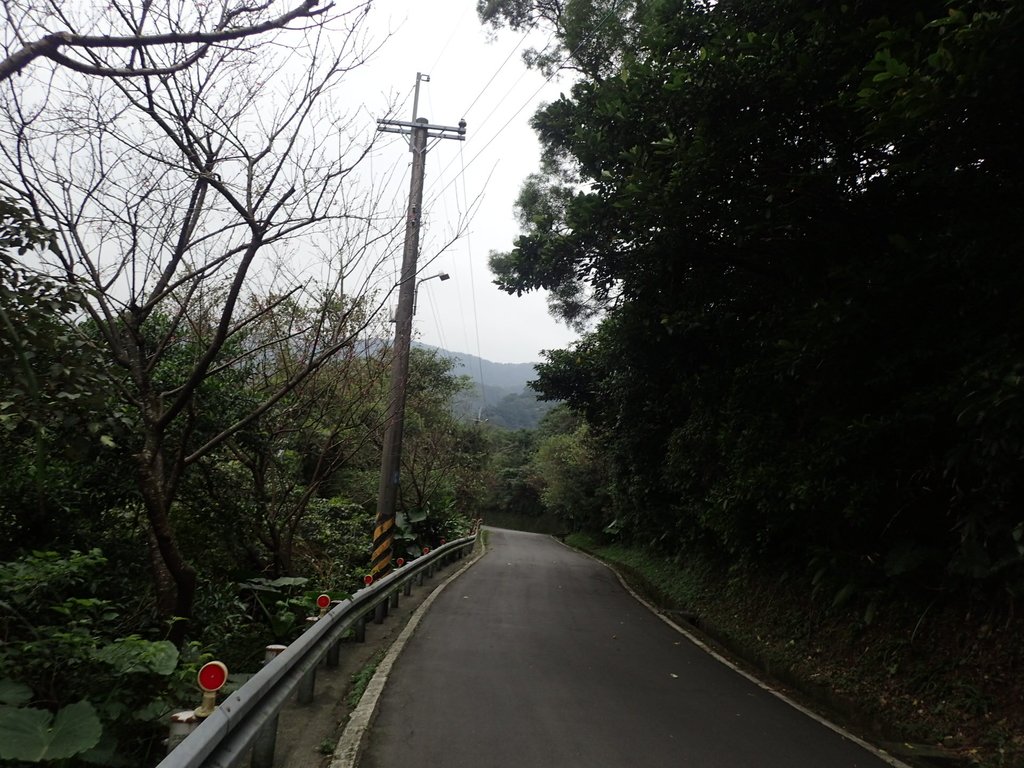 P1263967.JPG - 金山  大路崁古道