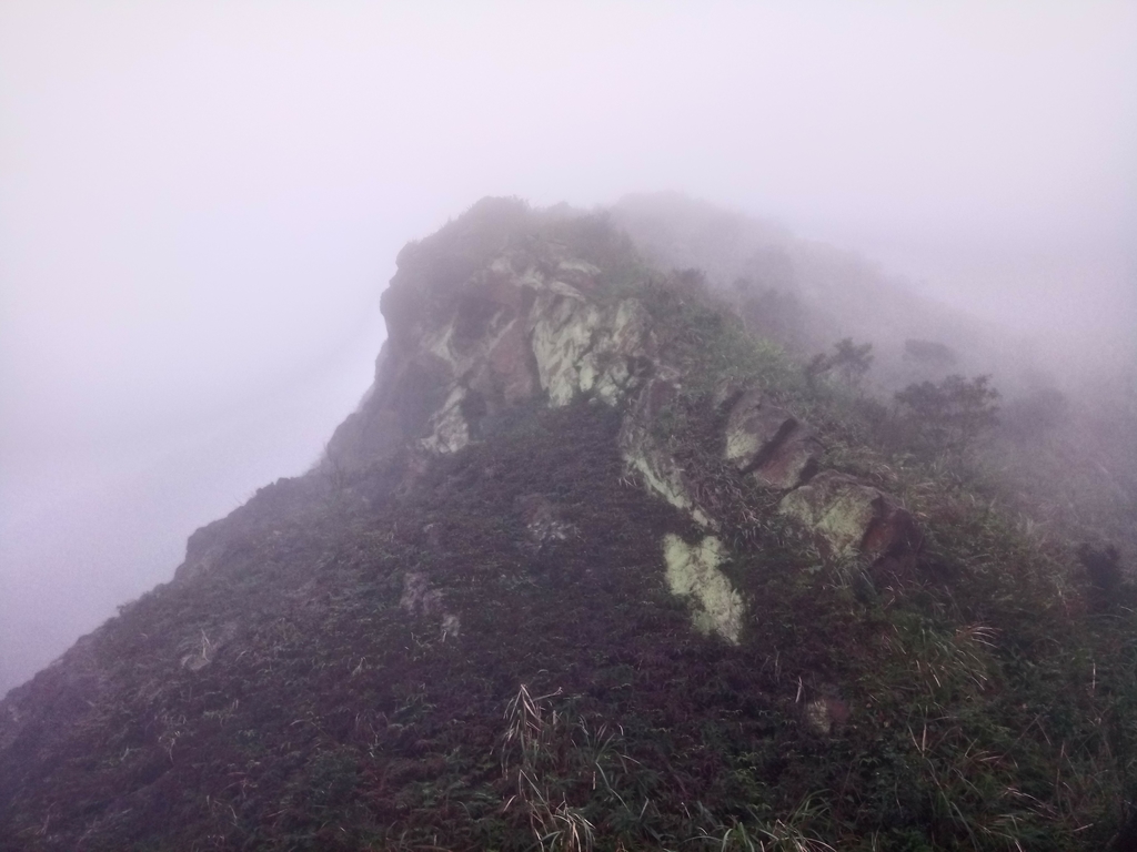 DSC_2822.JPG - 瑞芳  牡丹山